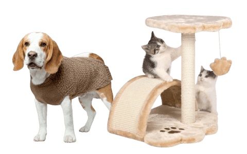 pets pets