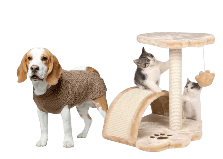 Bixoto Pets Bixoto Pets