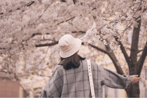 ¡Descuentos de primavera, todo al mejor precio!